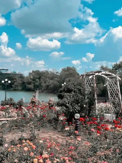 парк Щербакова Донецьк