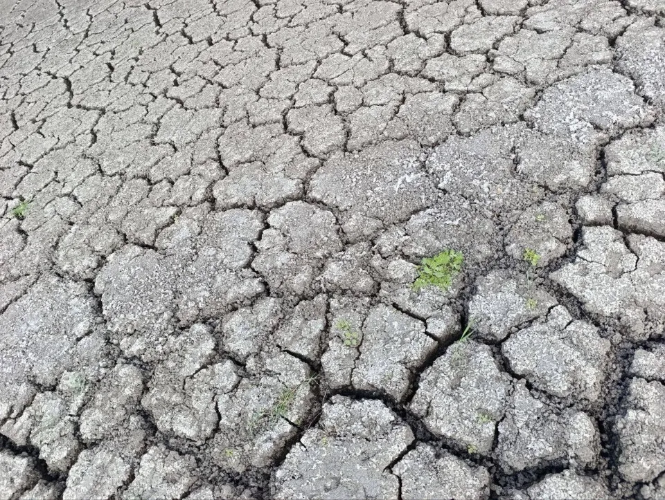 старокримське водосховище в маріуполі