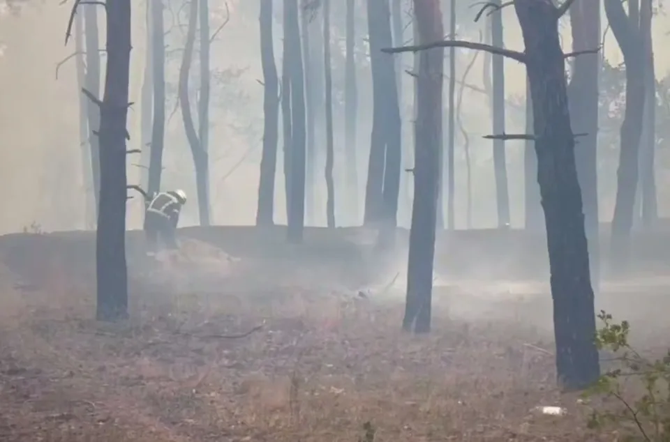пожежа біля Станиці Луганської