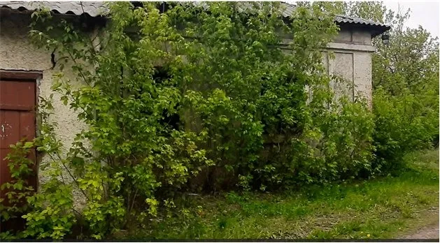 Лазня. Зовнішній вигляд. с. Тошківка, Луганська обл. Фото автора. Весна 2021