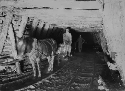 Коногонщик. Фото із сайту Шахти та рудники Донбасу