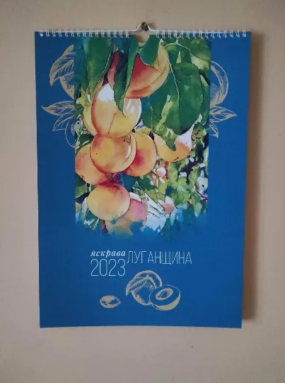 Настінний календар дизайнерки з Сіверськодонецька Вероніки Крейди із символом Луганщини - абрикосами