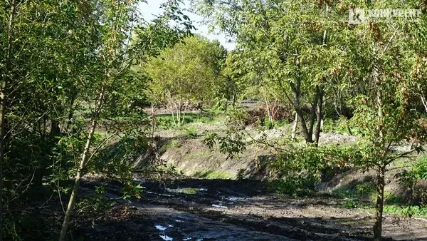 Парк на Набережній Луцьк