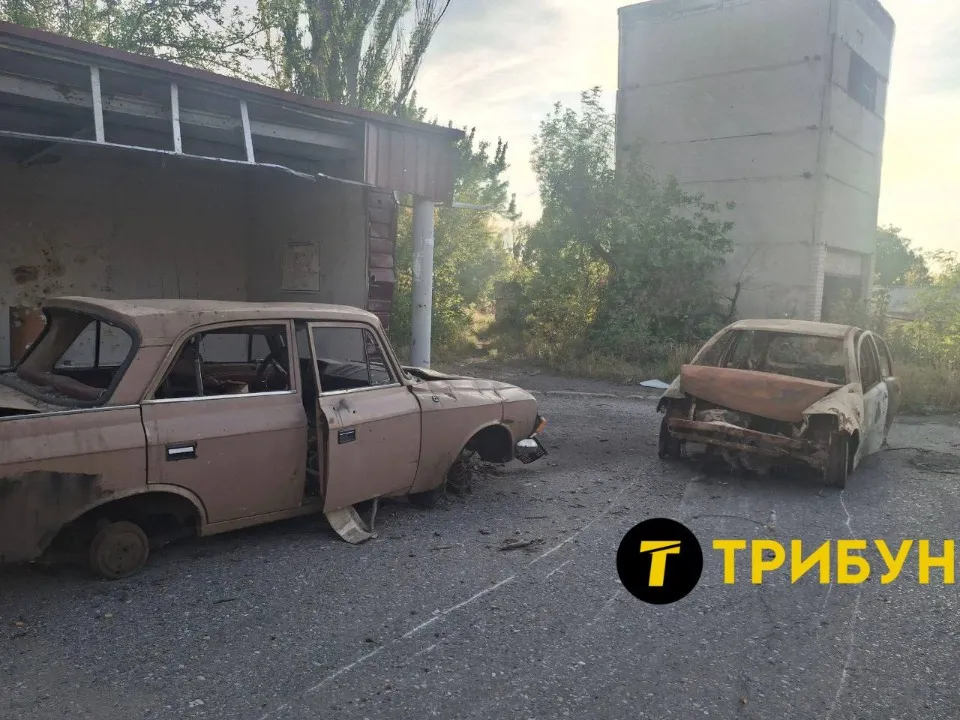 селидове