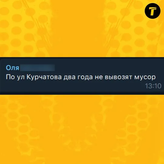 Повідомлення мешканки про невивіз сміття на вул. Князя Володимира (Курчатова)