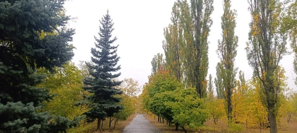 Рубіжне