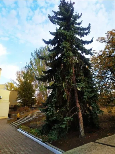Луганськ 2025