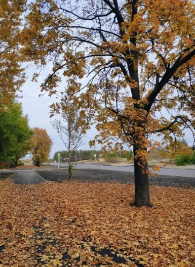 Рубіжне