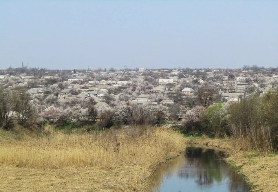 Абрикоси цвітуть. Кам'яний Брід, Луганськ. Джерело: meteolugansk