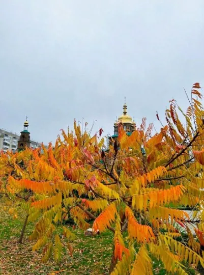 сіверськодонецьк