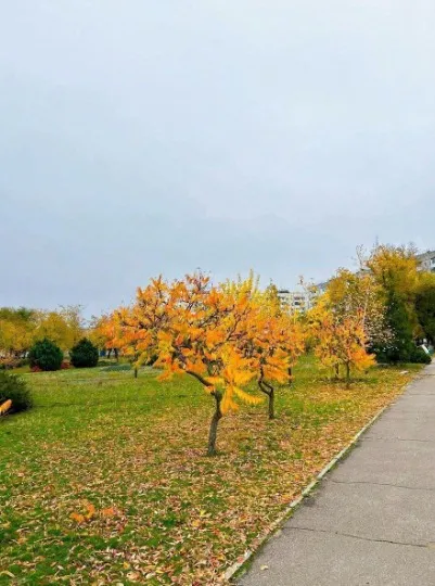 сіверськодонецьк