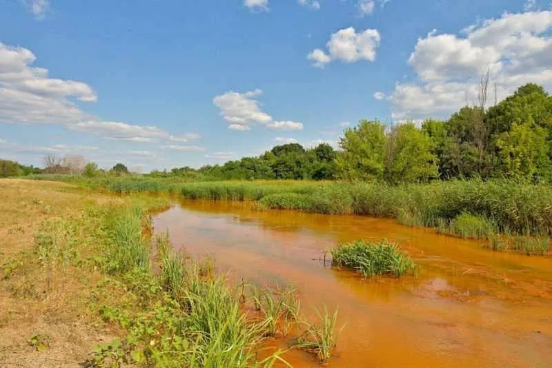 Забруднені водойми на окупованих територіях, фото надано співрозмовником