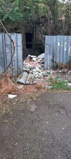 сорокине