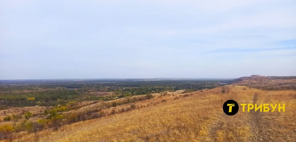 сорокине
