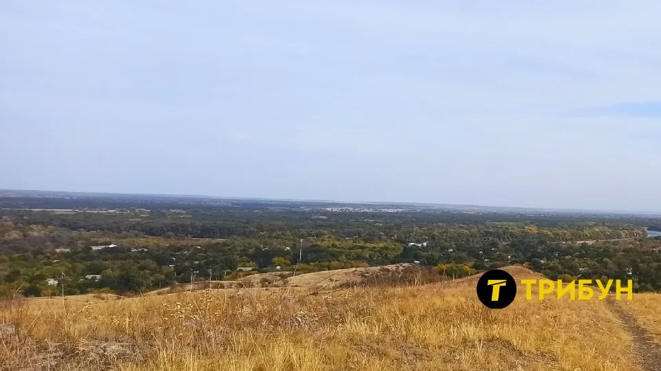 сорокине