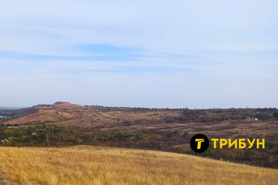 сорокине