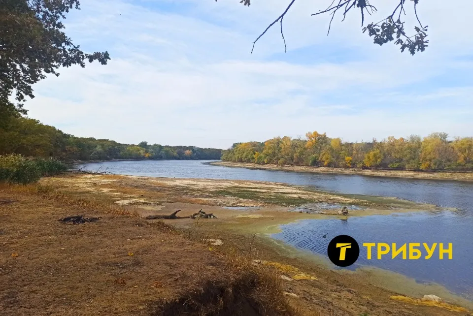 сорокине