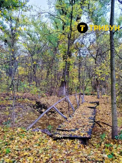 хрустальний