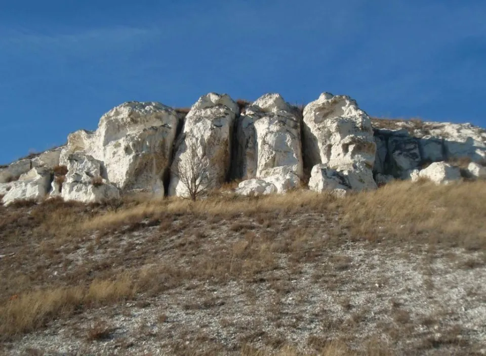 баранячі лоби