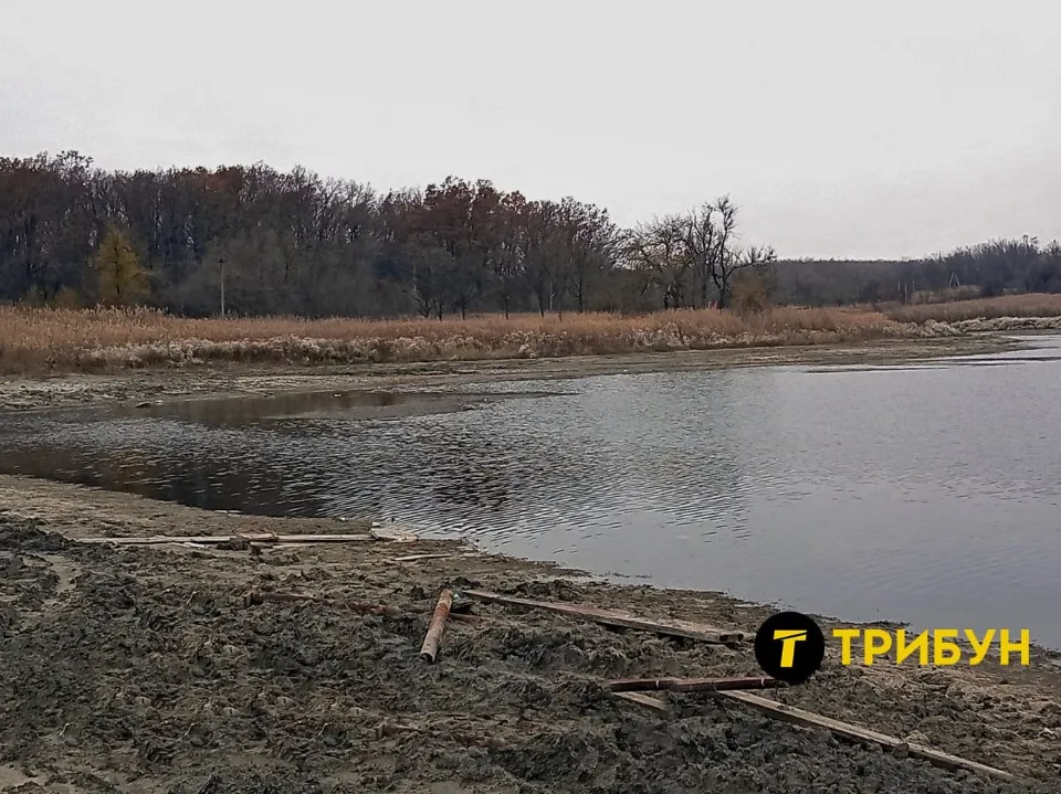 Питний ставок у Донецьку