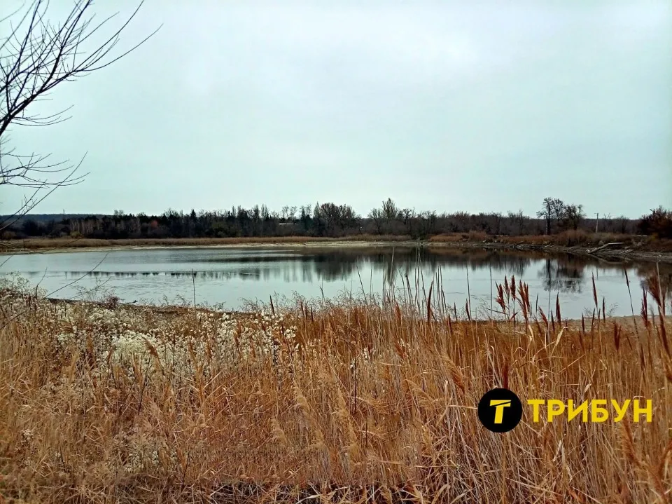 Питний ставок у Донецьку