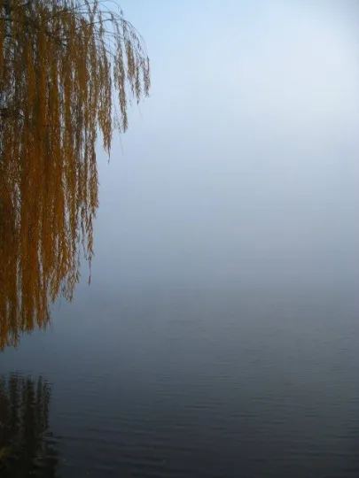 Донецьк