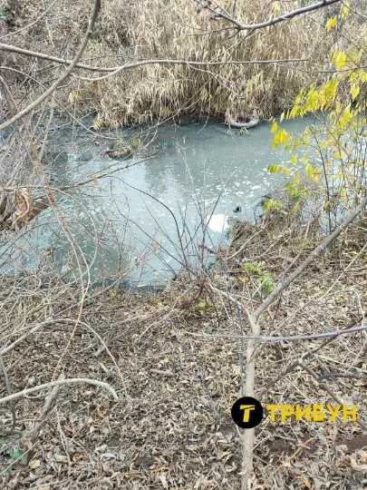 Річка Біла, Луганська область