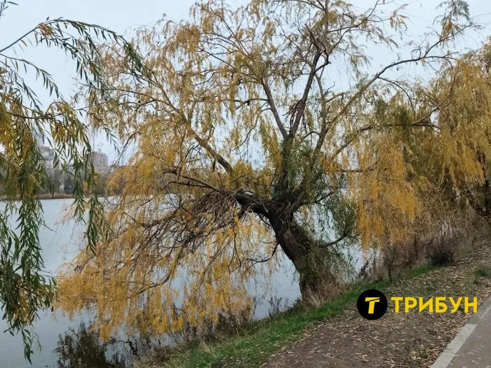 Донецьк 2025 осінь