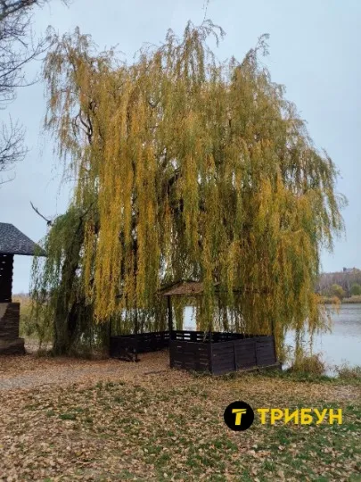 Донецьк 2025 осінь