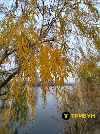 Донецьк 2025 осінь