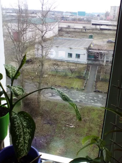 Вид з вікна квартири у Рубіжному