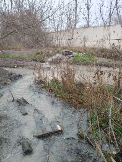 річка вільхівка