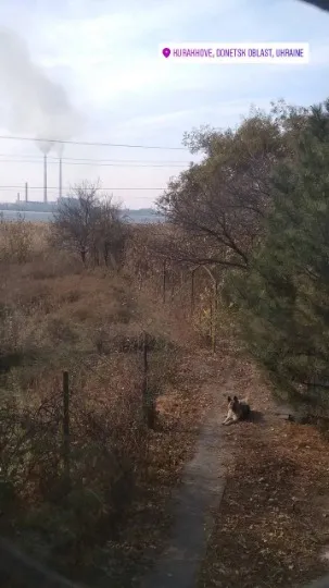 Донеччина