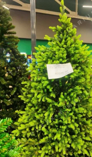 Ціни на ялинки в окупованому Маріуполі