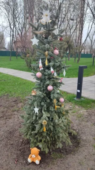 Ялинки в окупованому Донецьку