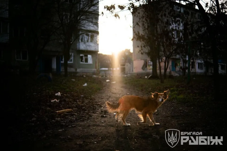 Добропілля