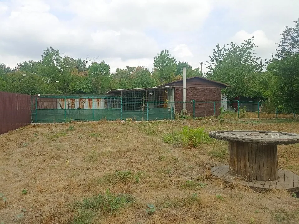 Притулок у Покровську
