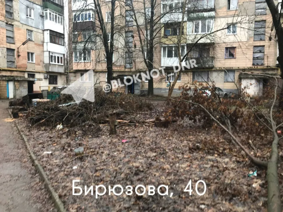 Аварійні дерева у дворах Донецька не прибирають