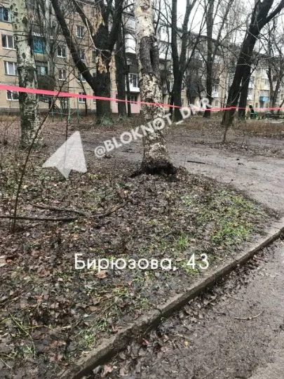 Аварійні дерева у дворах Донецька не прибирають