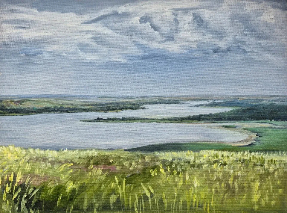 роботи Наталії Зуєвої