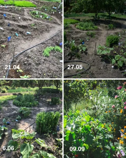 Пермакультурний квітник Аліни Юдіної