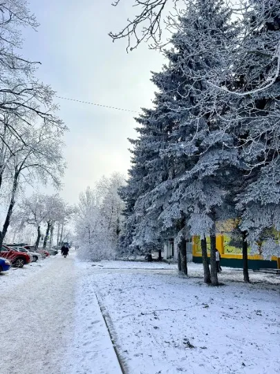 Горлівка 2026