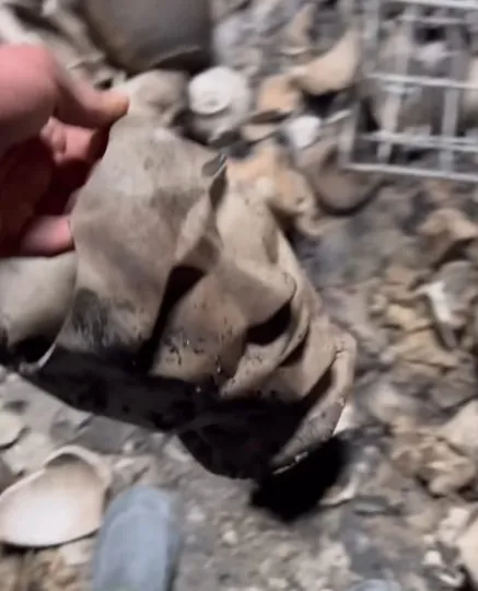 Пожежа на виробництві Nana Ceramics, лютий 2024 рік