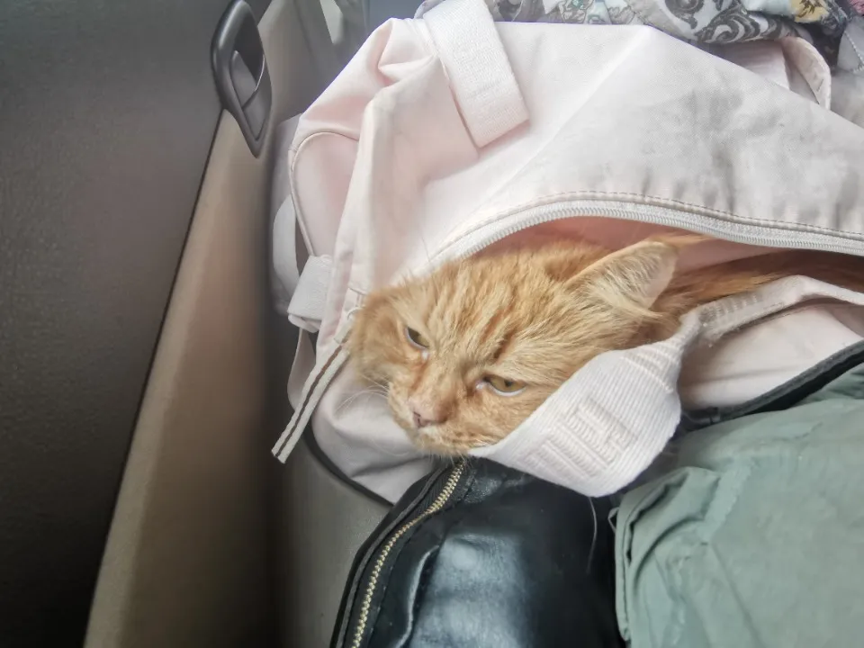 Олександра Кравченко