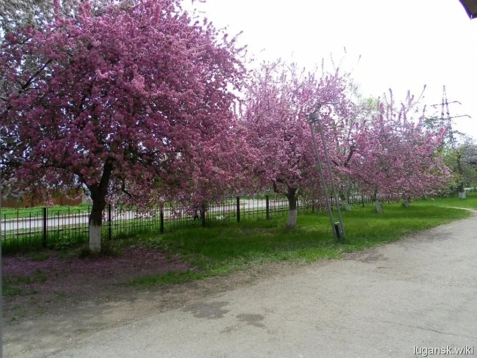Села та селища Луганська й околиць: історія Кам'яного Броду, Розкішного й Катеринівки