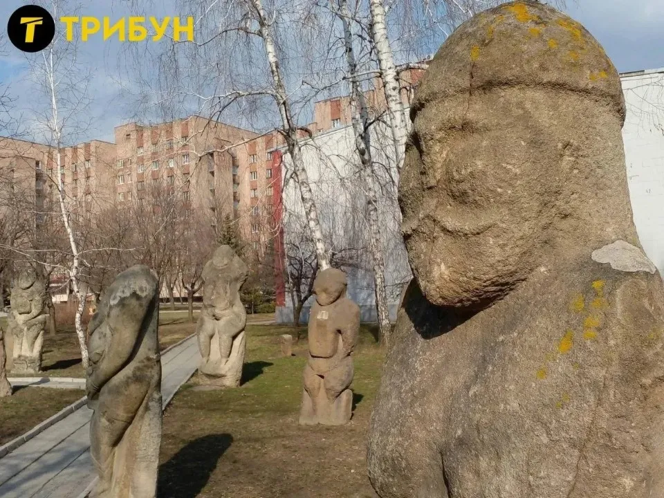 трибун