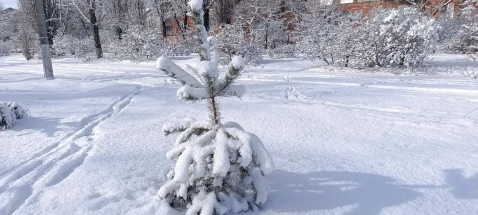Рубіжне