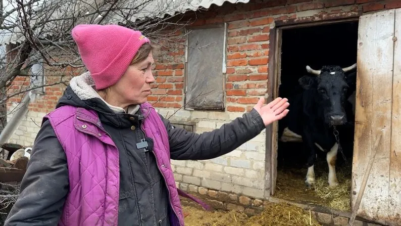 Родина з прифронтової Іванівки тримається за корів і дім