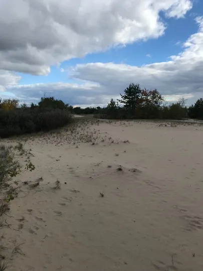 Краєвиди дому