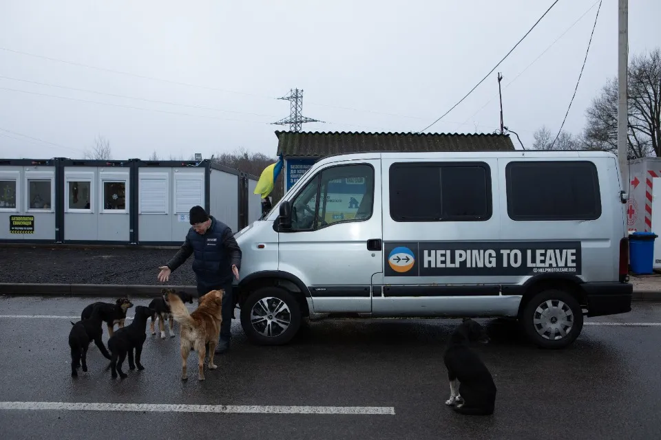 Евакуація. Авторка: Богдана Фергусон
